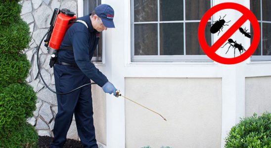 Arpaçay Tahtakurusu İlaçlama böcek ilaçlama ve haşere kontrolü — ilaclama-tr.com